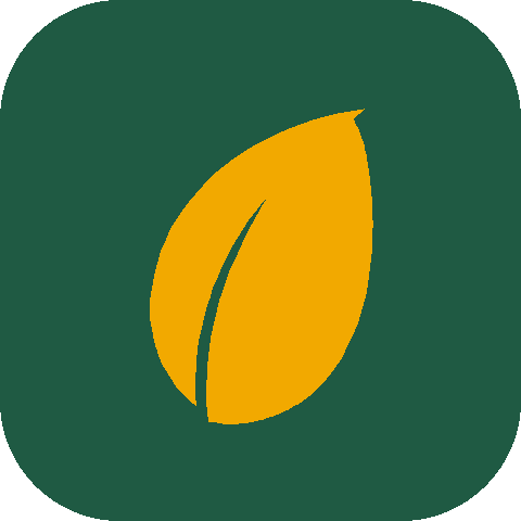TopPeat — تاپ‌پیت